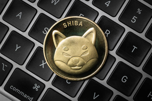 Shiba Inu’s Shibarium Suffers Crash In Major Metric, Is SHIB Price At Risk?