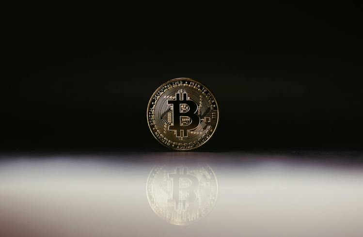 Bitcoin LTH Stay Calm Amid Volatile Market Swings – Details