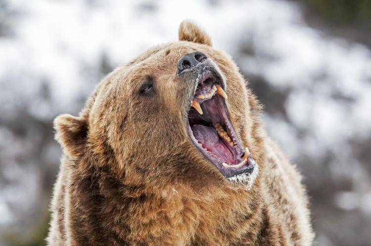 Bitcoin’s Fall To $78K Could Be A Bear Trap — Here’s Why