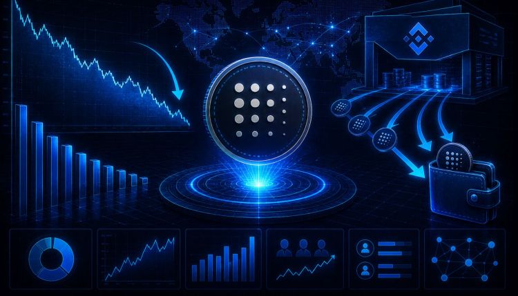 FET Exchange Supply Is Quietly Disappearing – Discover Why Traders Are Watching Closely